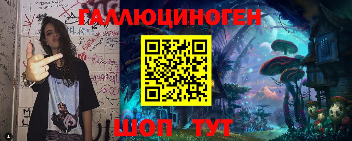 Галлюциногенные грибы мухоморы Сунжа