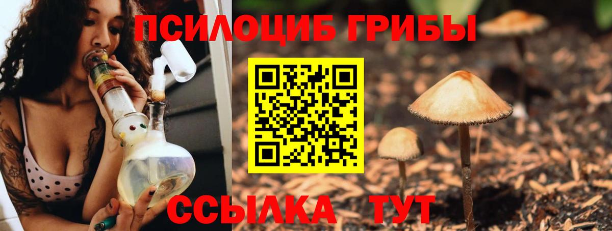 как найти закладки  Псилоцибиновые грибы мицелий  Псилоцибиновые грибы ЛСД  Вход с VPN  Сунжа 
